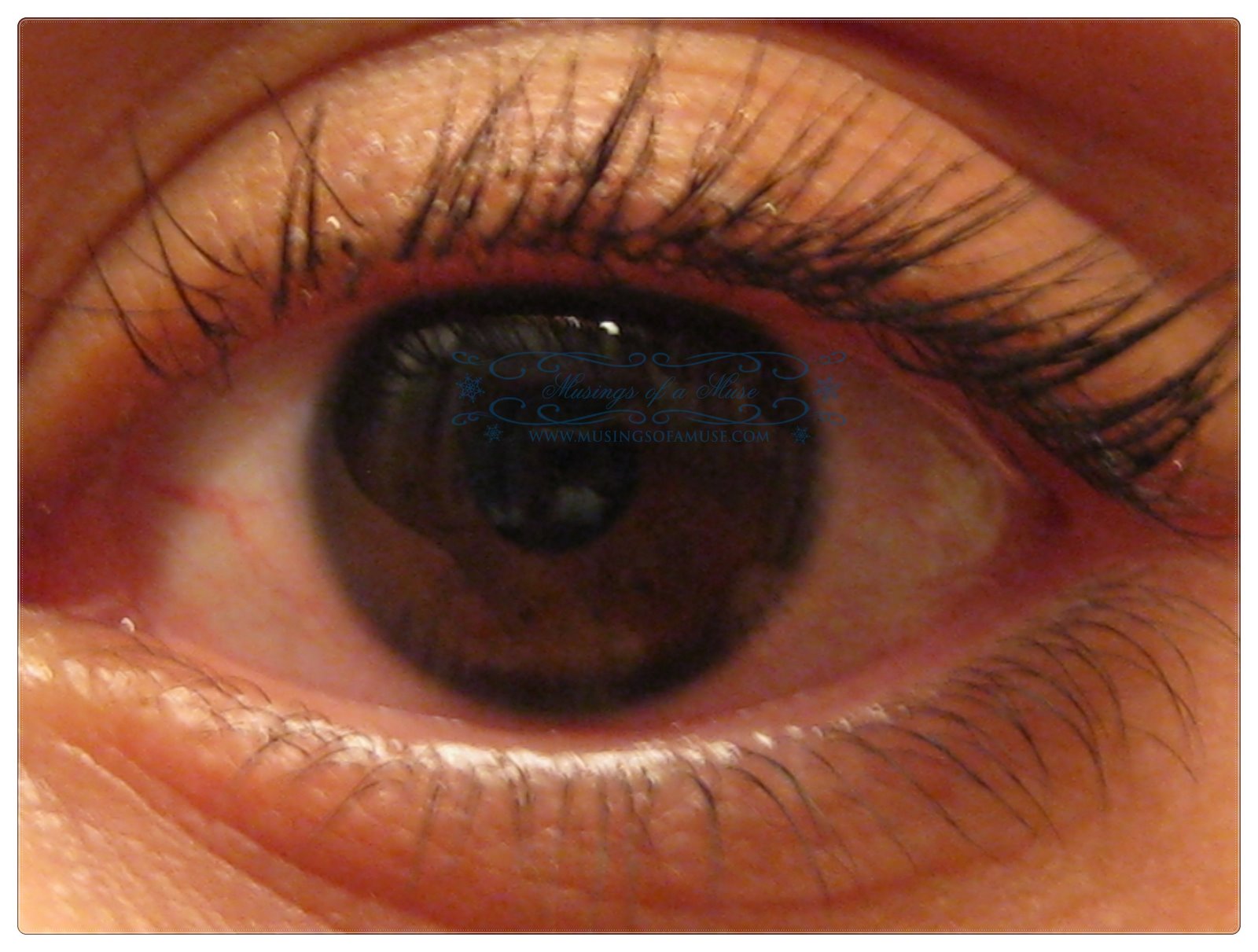 [Rimmel+Sexy+Curves+Mascara1.jpg]