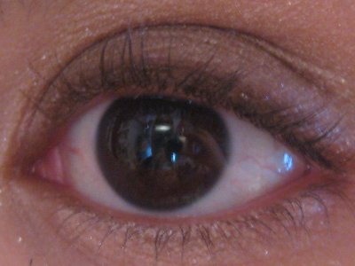 [Picture+074_400x300.jpg]