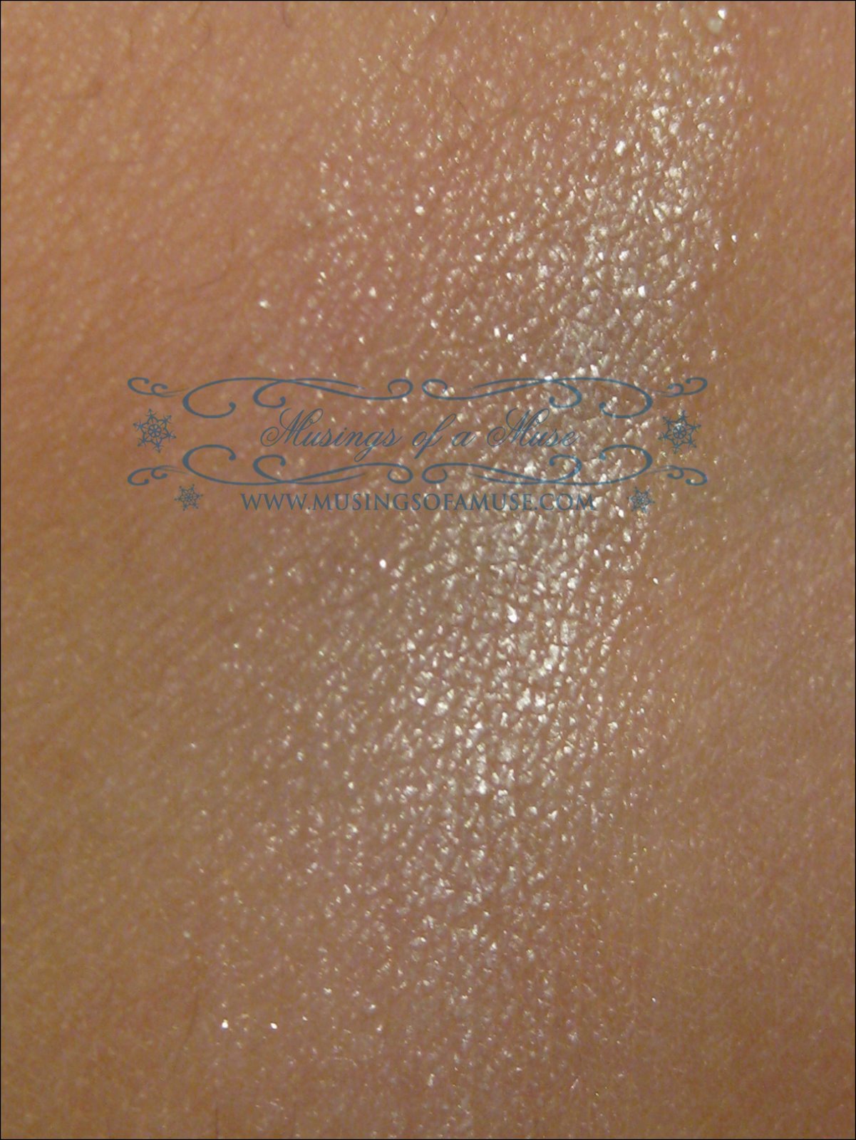 [MAC+Eye+Shadow+Forgery+5.jpg]