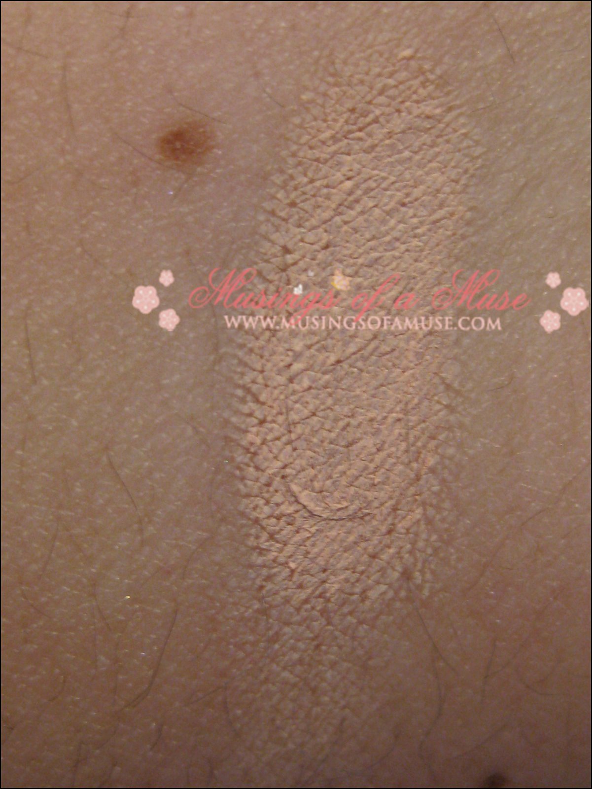 [Anastasia+Beverly+Hills+Eye+Lights+Matte+4.jpg]