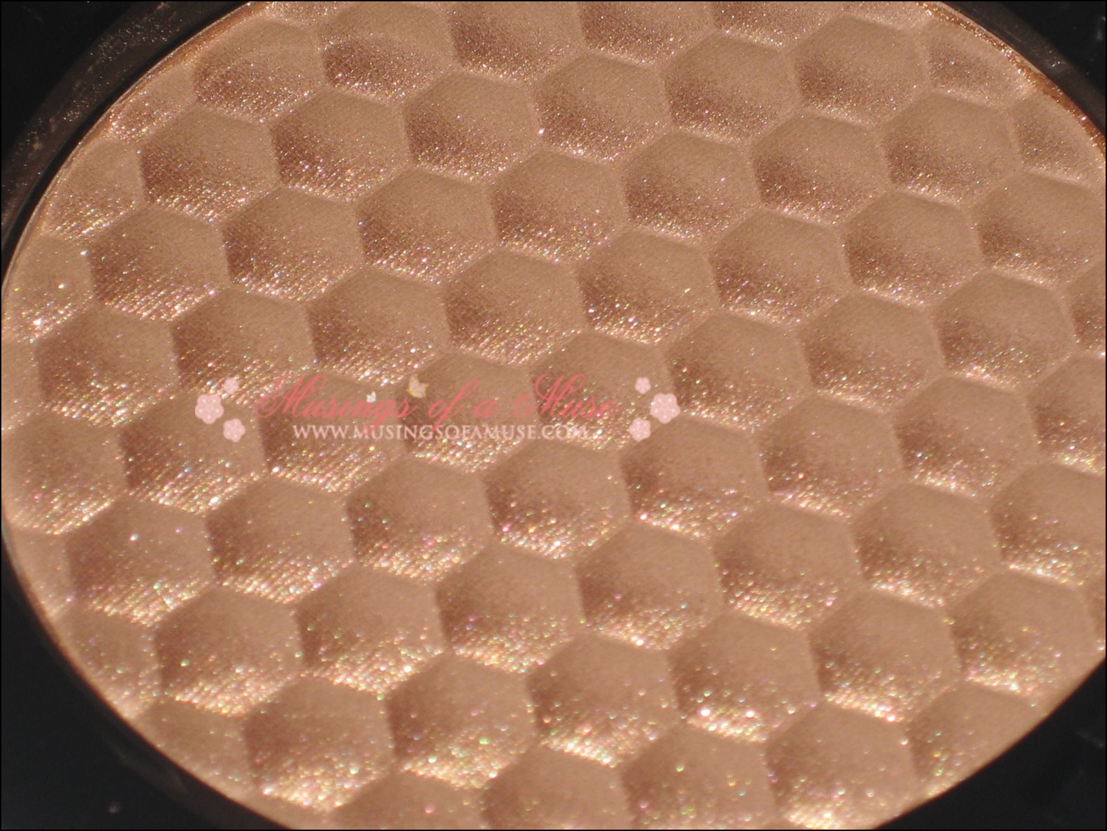 [MAC+Naked+Honey+Pictures+and+Swatches+7.JPG]