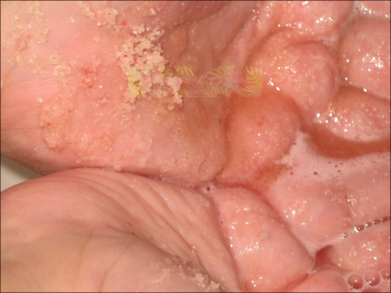 [Lush+Sugar+Scrub+Lush+Sugar+Babe+5.JPG]