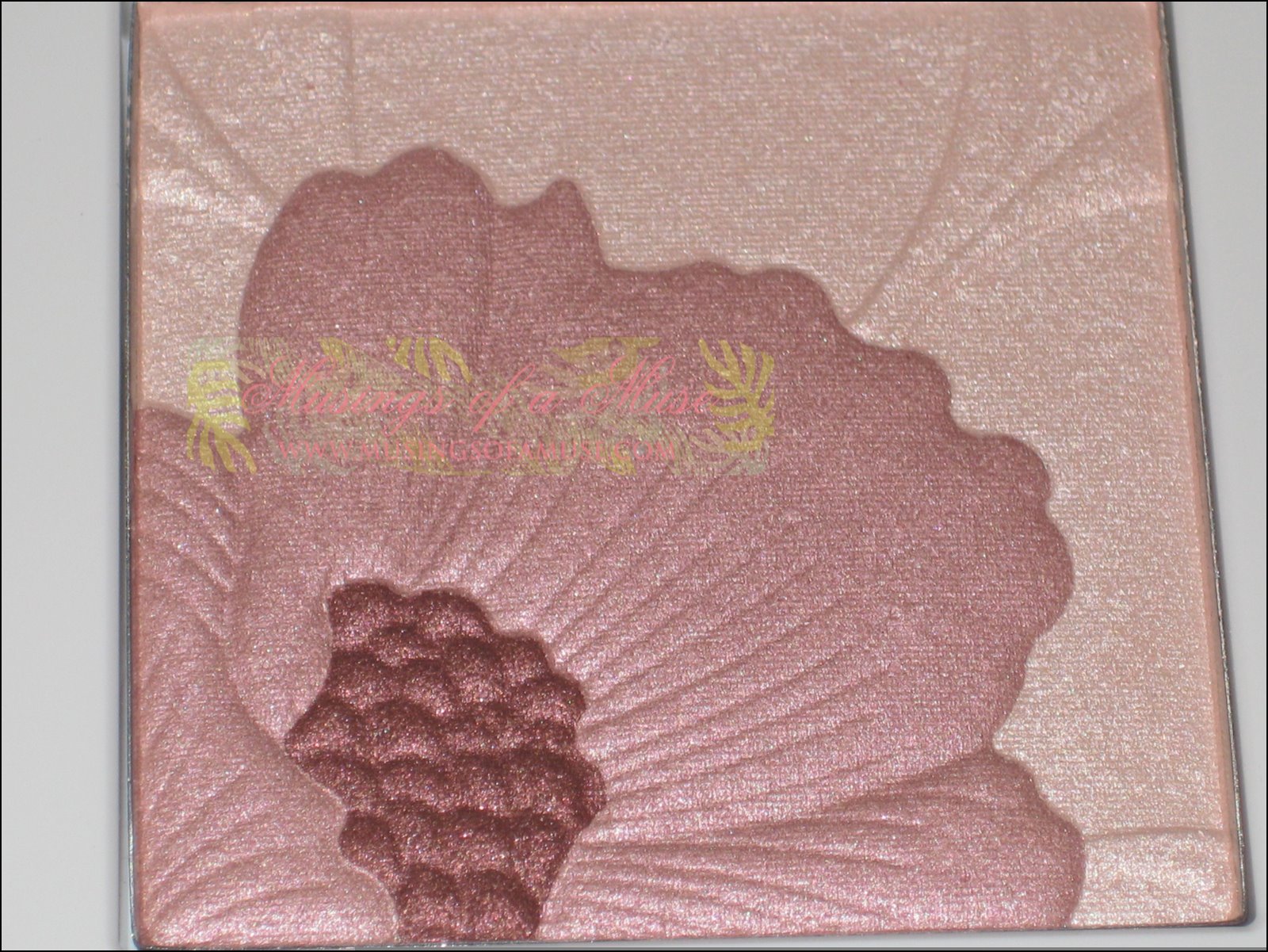 [Clinique+Bamboo+Pink+Collection+024.JPG]