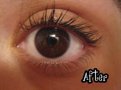 [Picture+130_400x300.jpg]