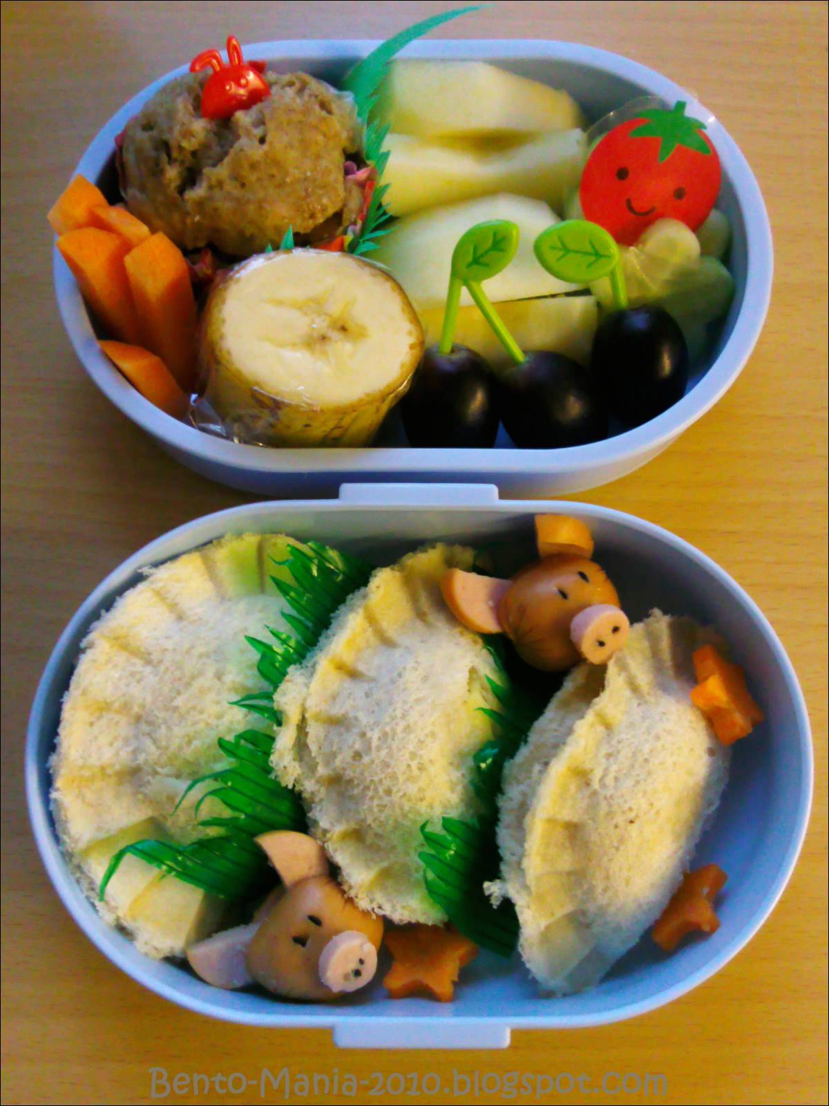 17 Bilder Ideen Of Lustige Spruche Bilder Kostenlos Lustige Bilder