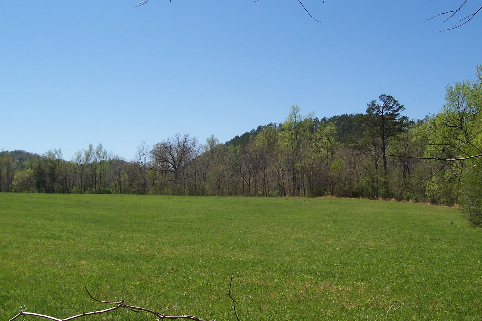 Big Fork, Arkansas V. Bates FamilyEarly Settlers of Big Fork