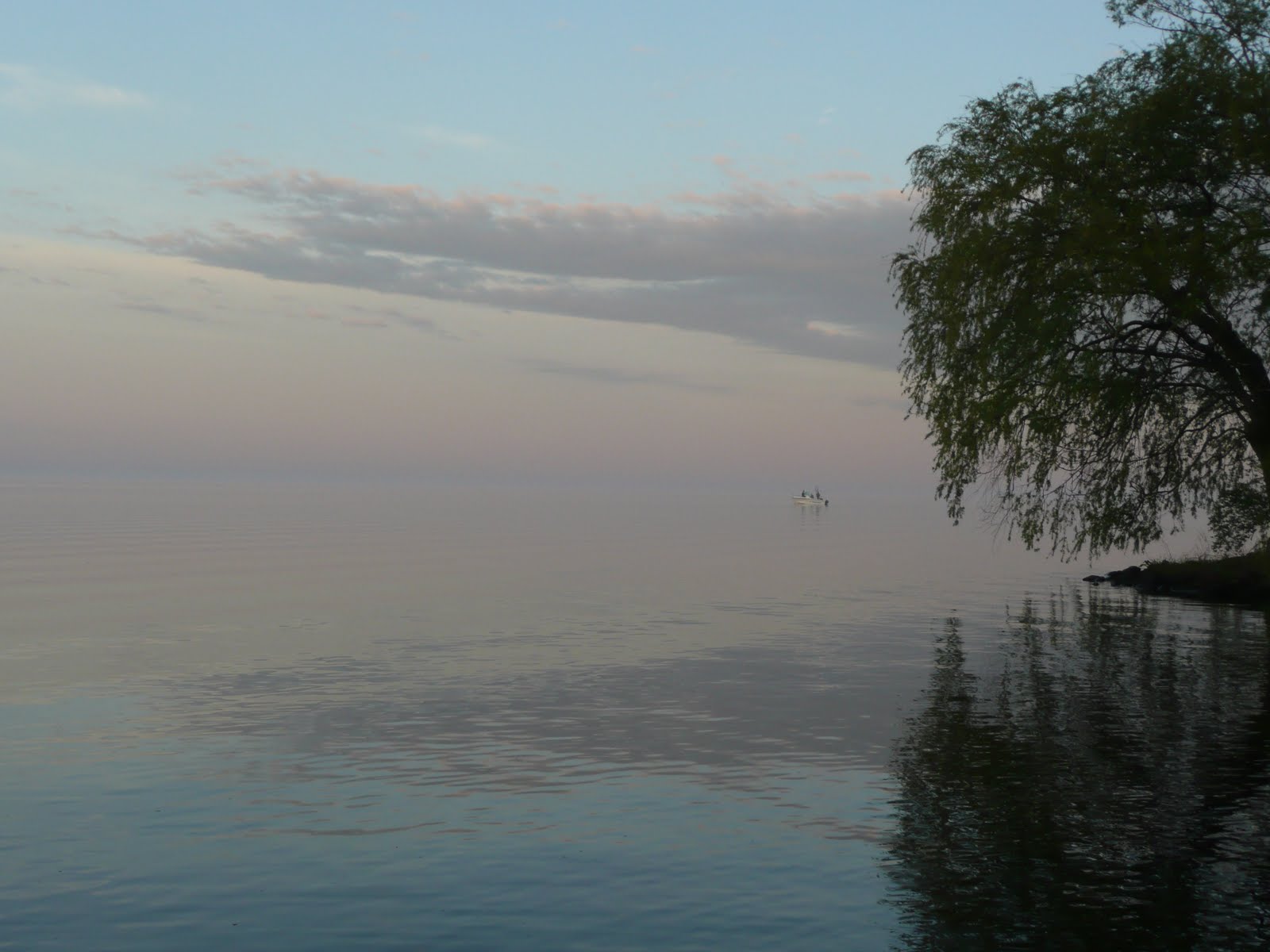 Oneida Lake Chronicles May 2010