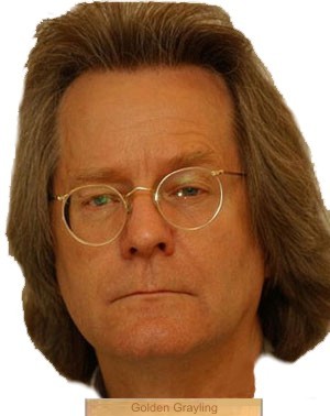 [portal-graphics-20_1155035a.jpg]