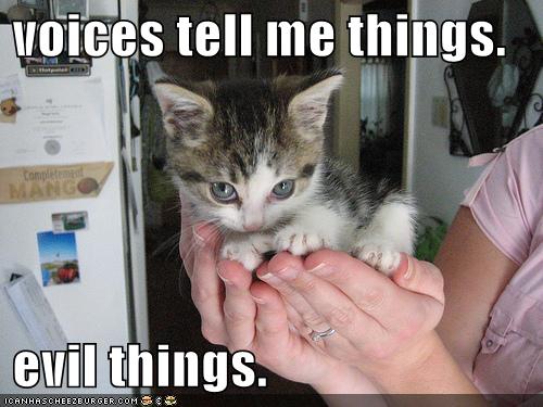 funny-pictures-evil-cute-kitten-hands.jpg