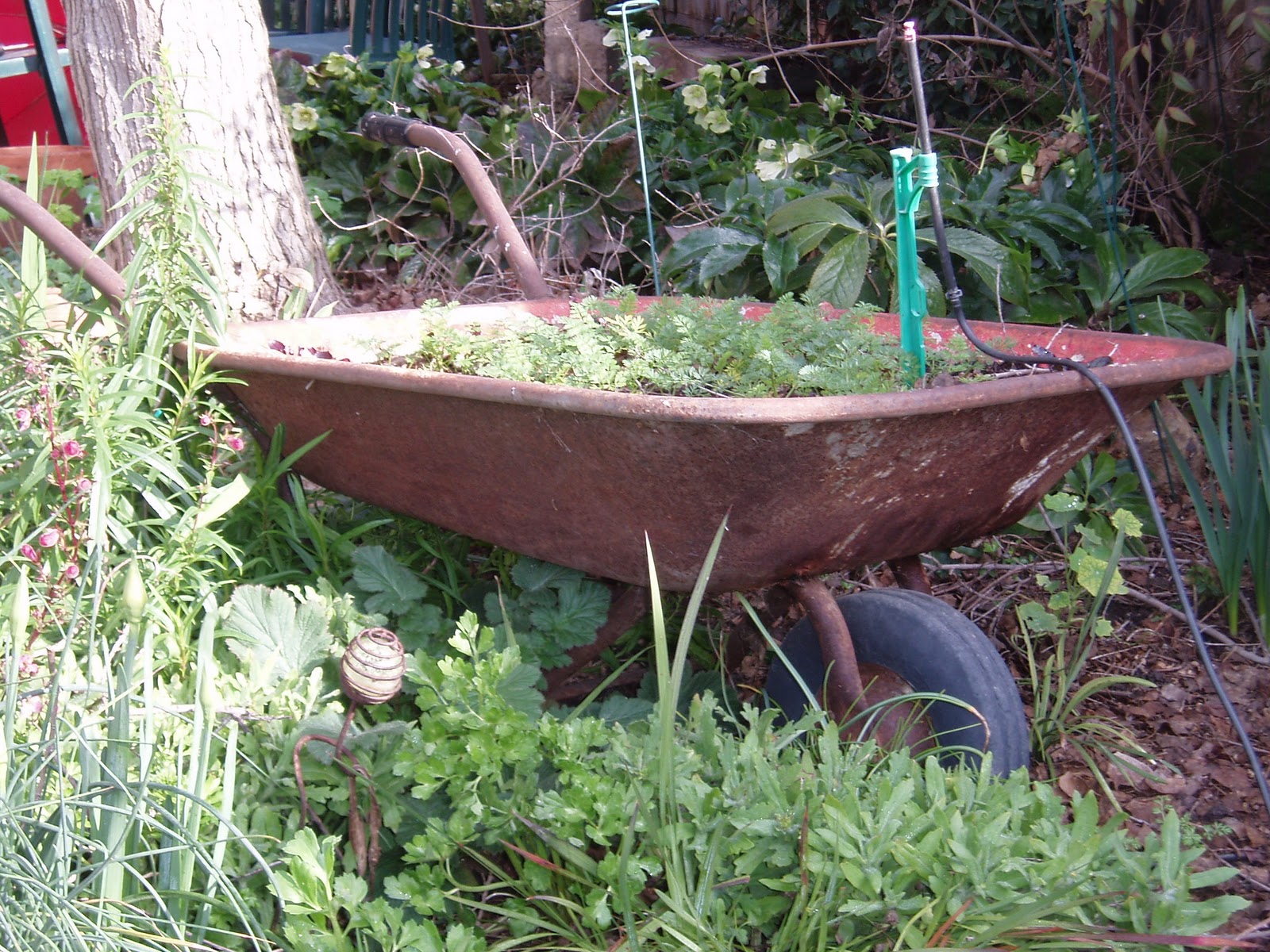 Debbie's Garden: Potting soil