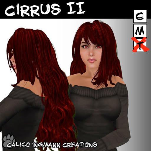 [Cirrus+II+small+ad.jpg]