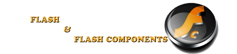 FLASH & FLASH COMPONENTS
