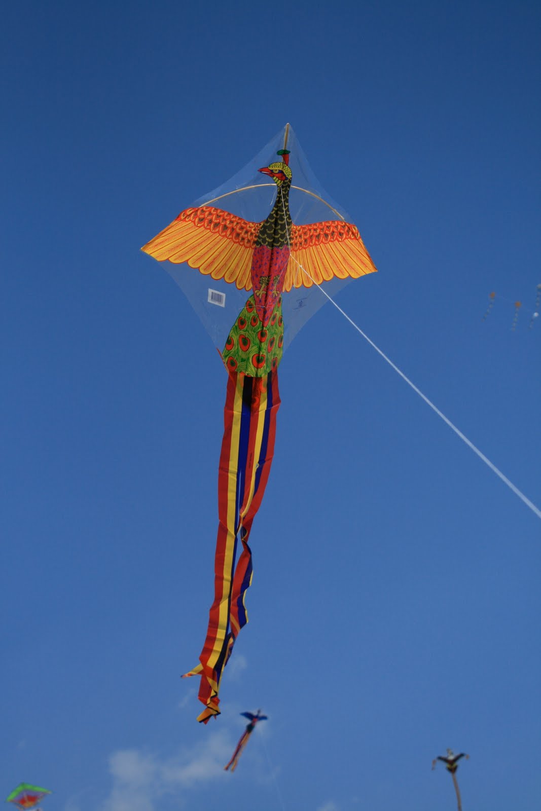 Jill in Korea International Kite Flying Contest