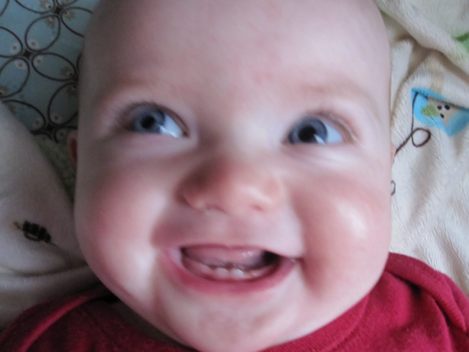 Ali, Cameron, and Aubrey Baby Teeth