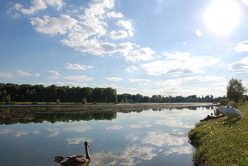 [Bois+de+vaires.jpg]