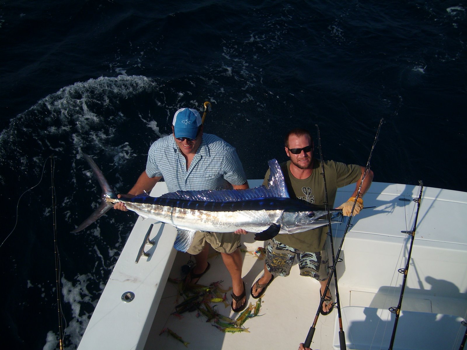 Outer Banks Fishing Charter 8/20/10 White Marlin Catch
