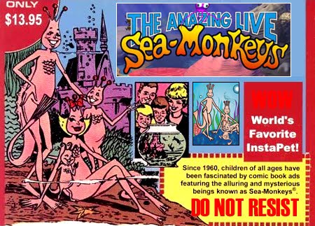 [sea_monkeys.jpg]