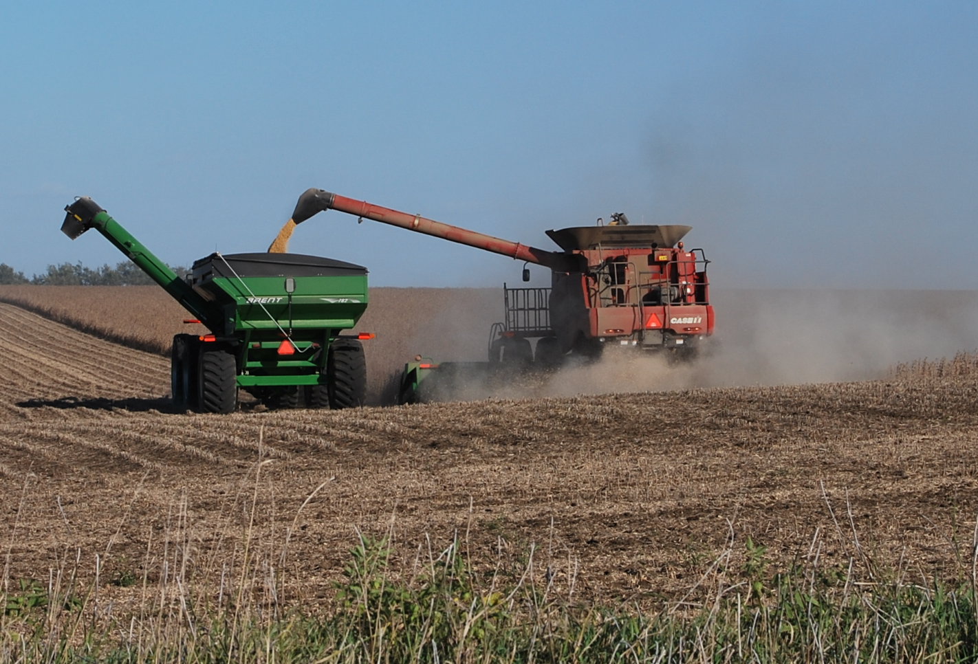 42N Observations America's Best Soy Bean Harvest Time