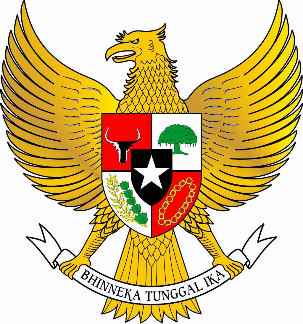 gambar burung elang gambar burung