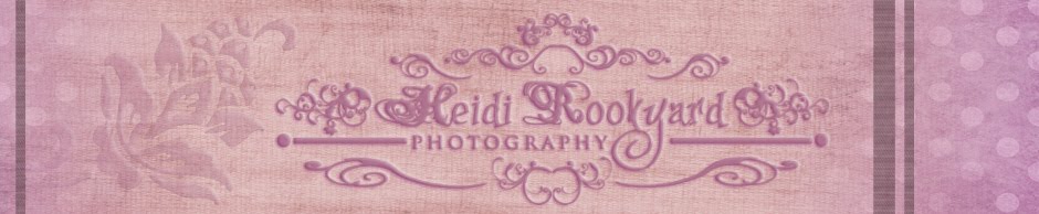 Heidi Rookyard Photography