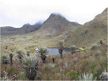 Páramo de Sumapaz