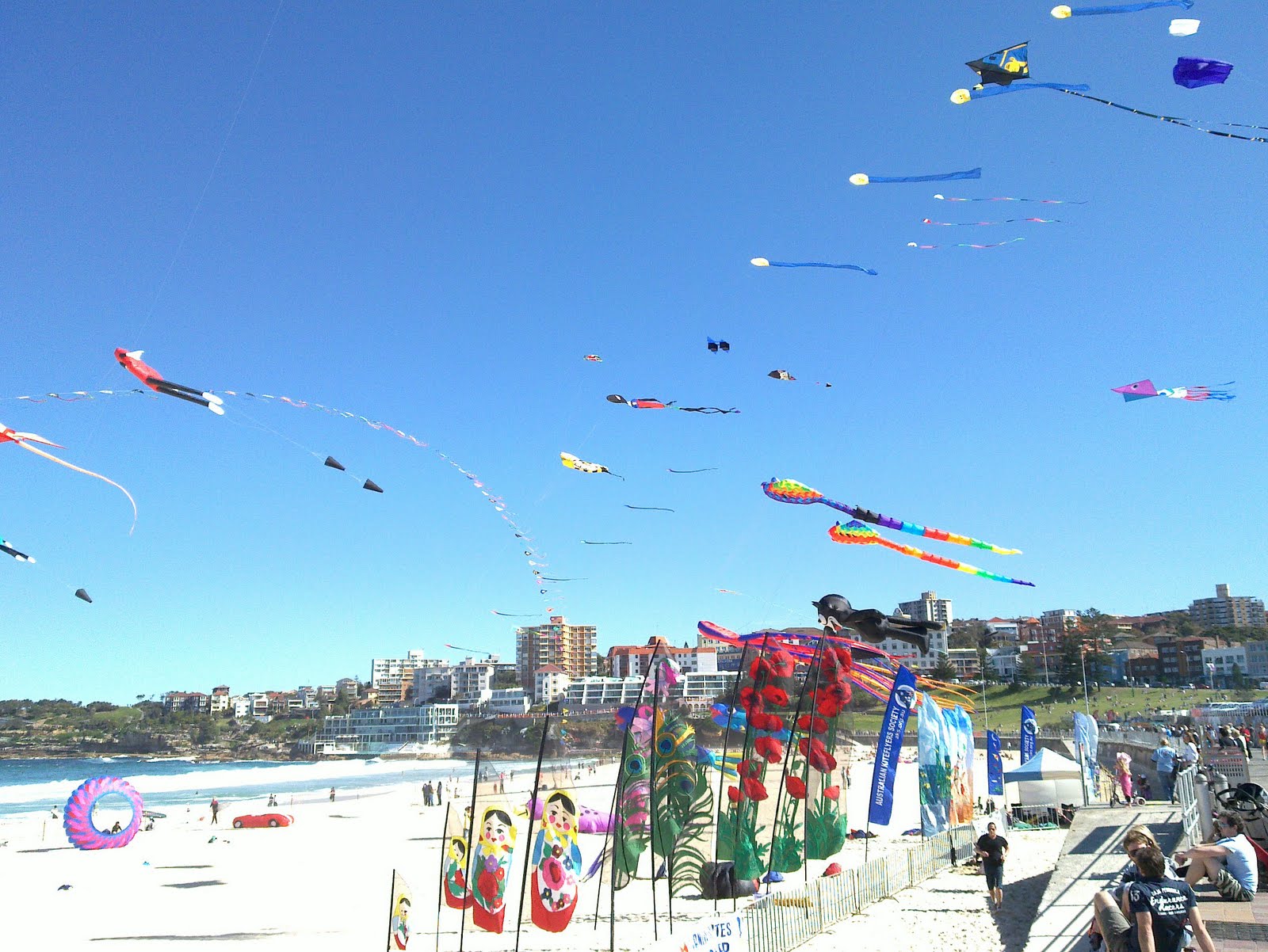 nd in australia kite festival at bondi beach