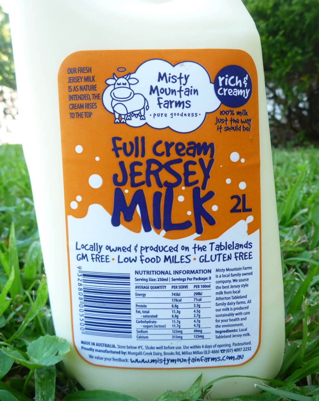  M M V I I Dairy Discovery