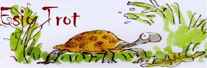 Esio Trot: Summary