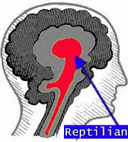 The reptilian brain, home of “right-wingers”