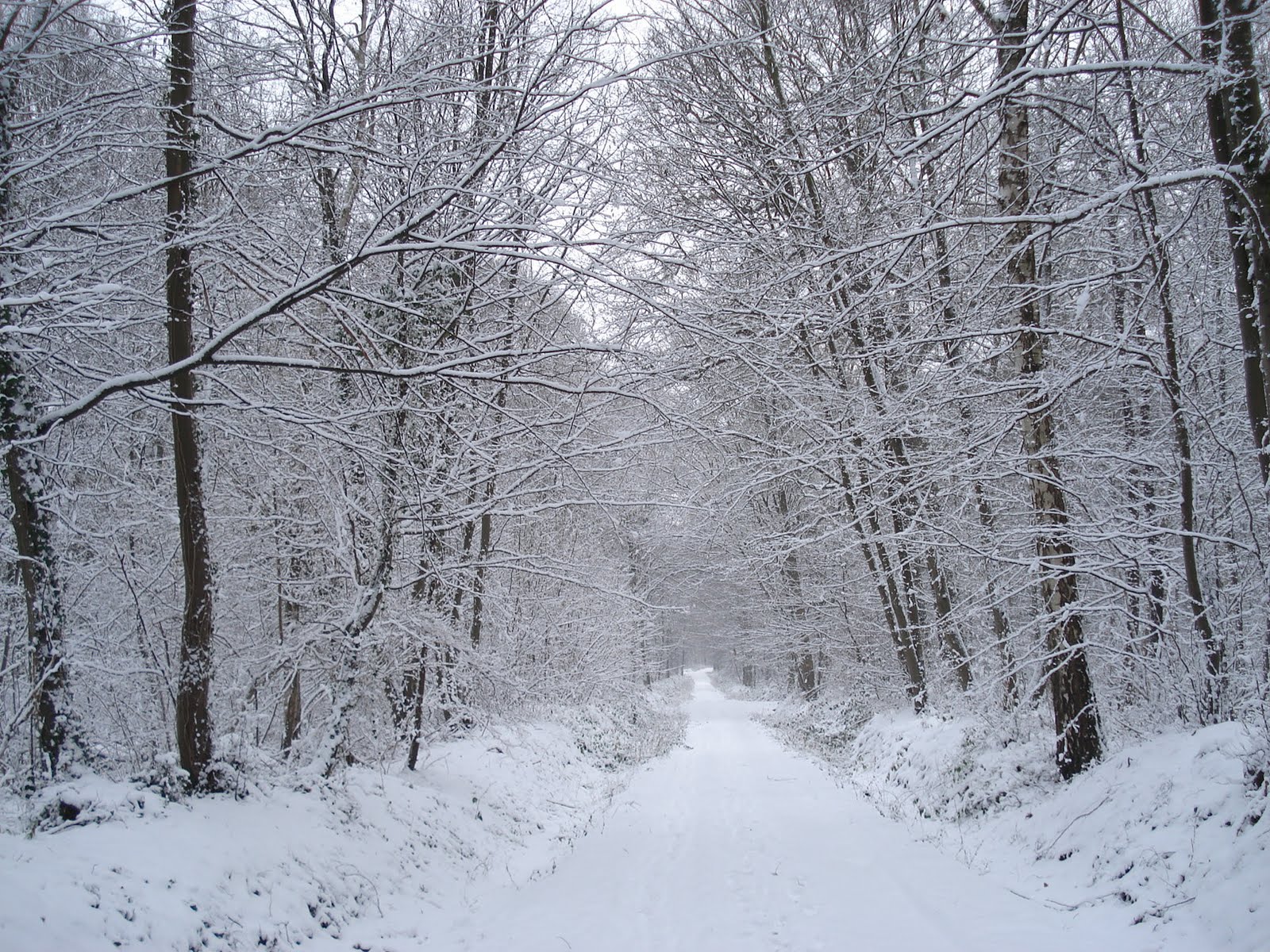 [stcloudneige2009]