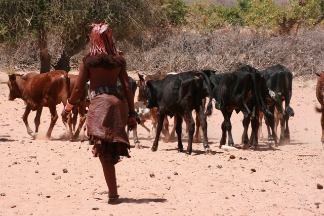 Tribe himba аккумулятор