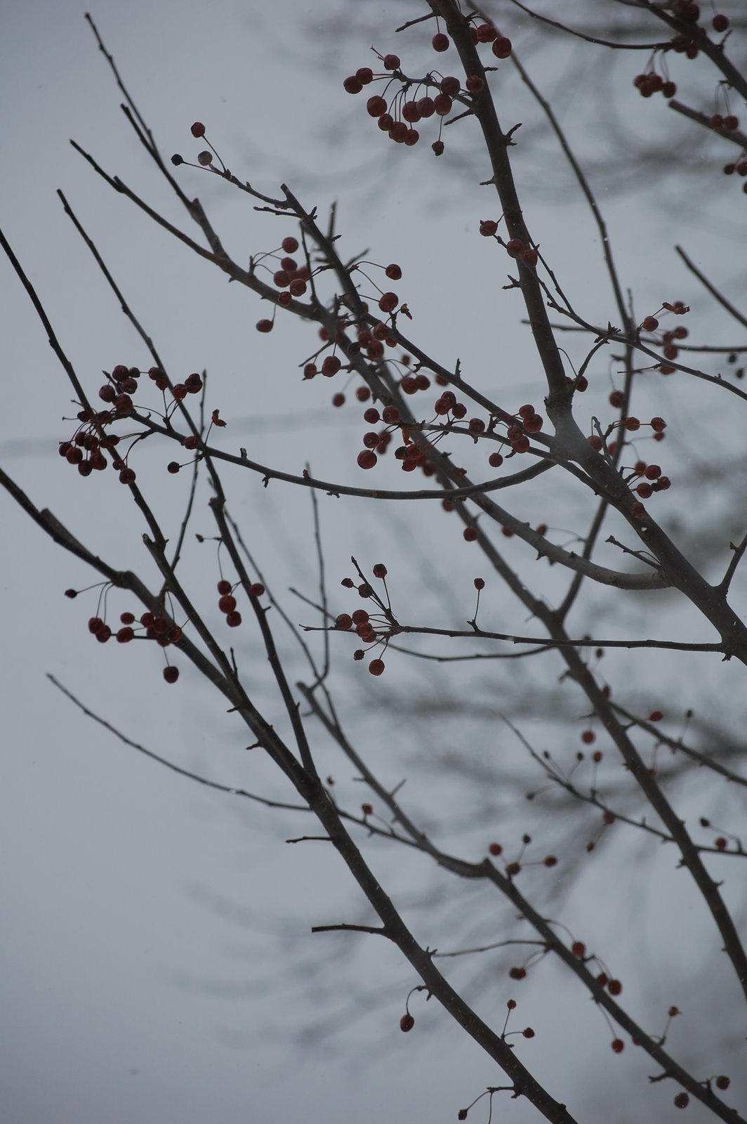 [DSC_1109.JPG]