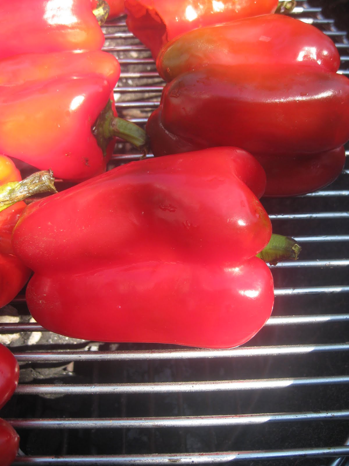 Food Snobbery is my Hobbery: Roasted Red Peppers Galore!