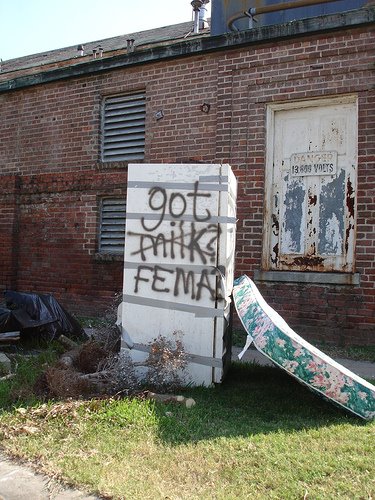 [got_fema.jpg]