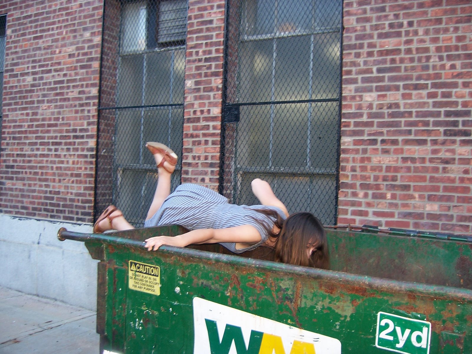 [dumpster+8.jpg]