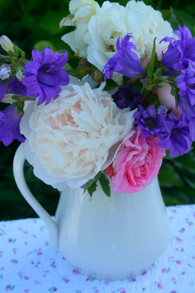 [IMG_7655-717947.jpg]