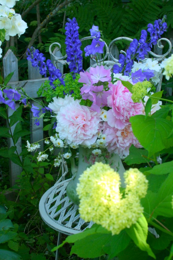 [IMG_7729-720335.jpg]