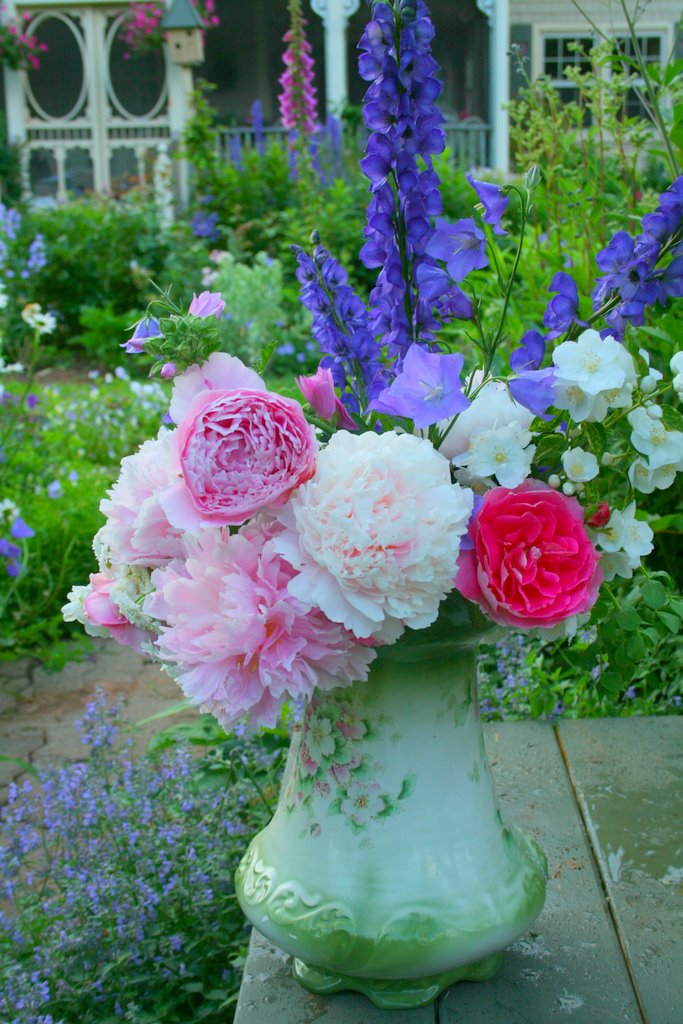 [IMG_6799-727638.jpg]