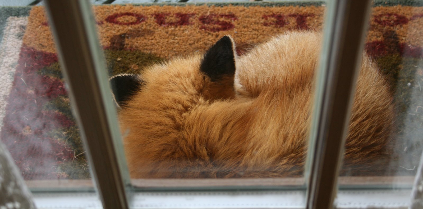 [IMG_8225-799921.jpg]