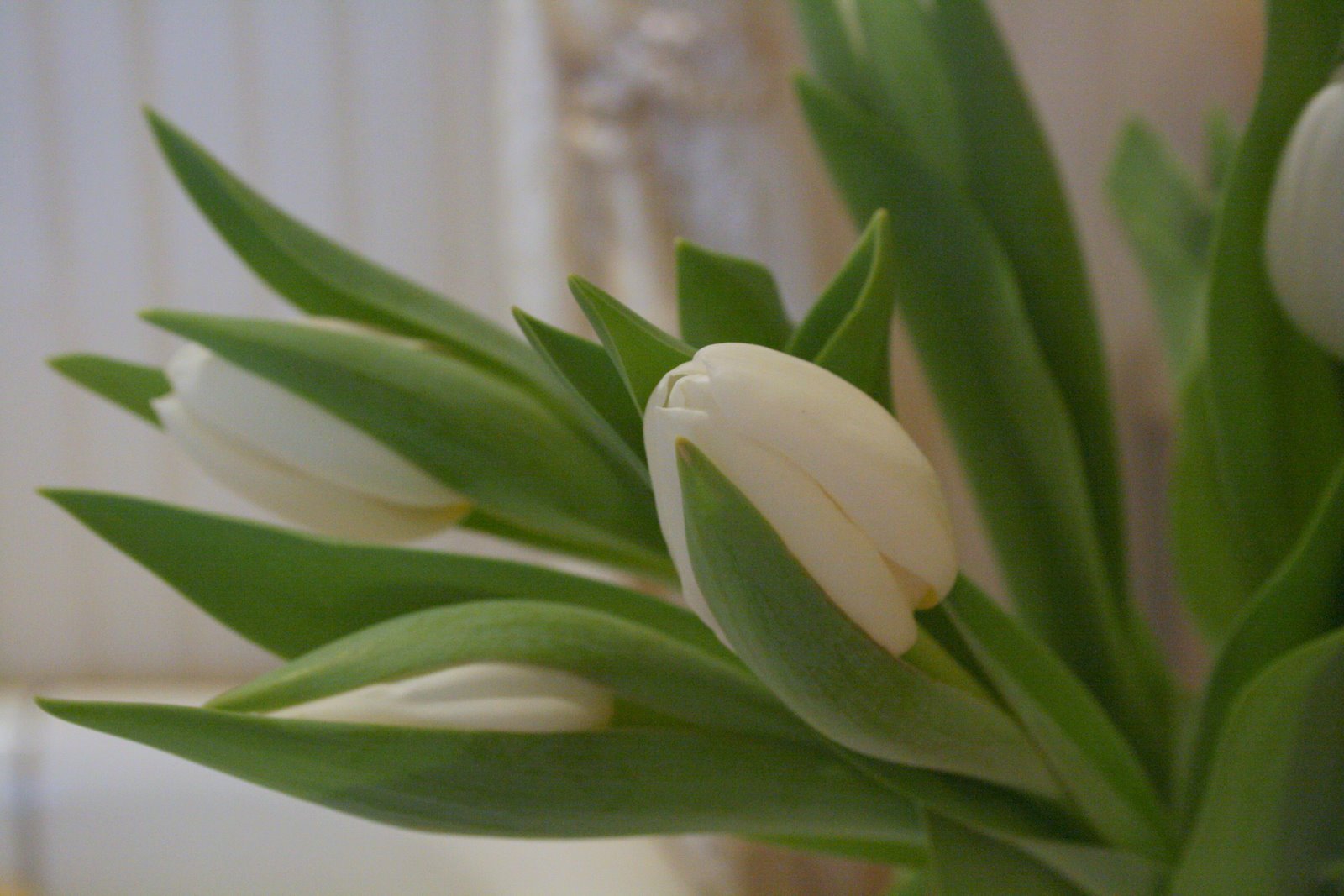 [IMG_8430-777196.JPG]