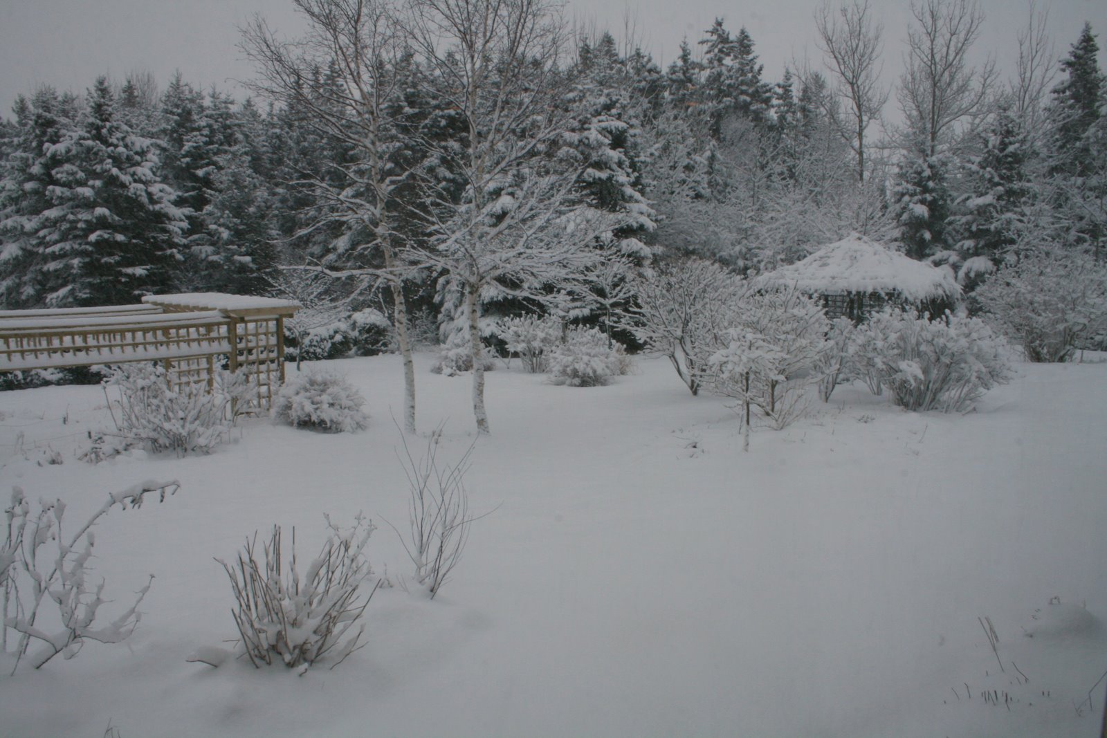 [IMG_8670-787587.JPG]