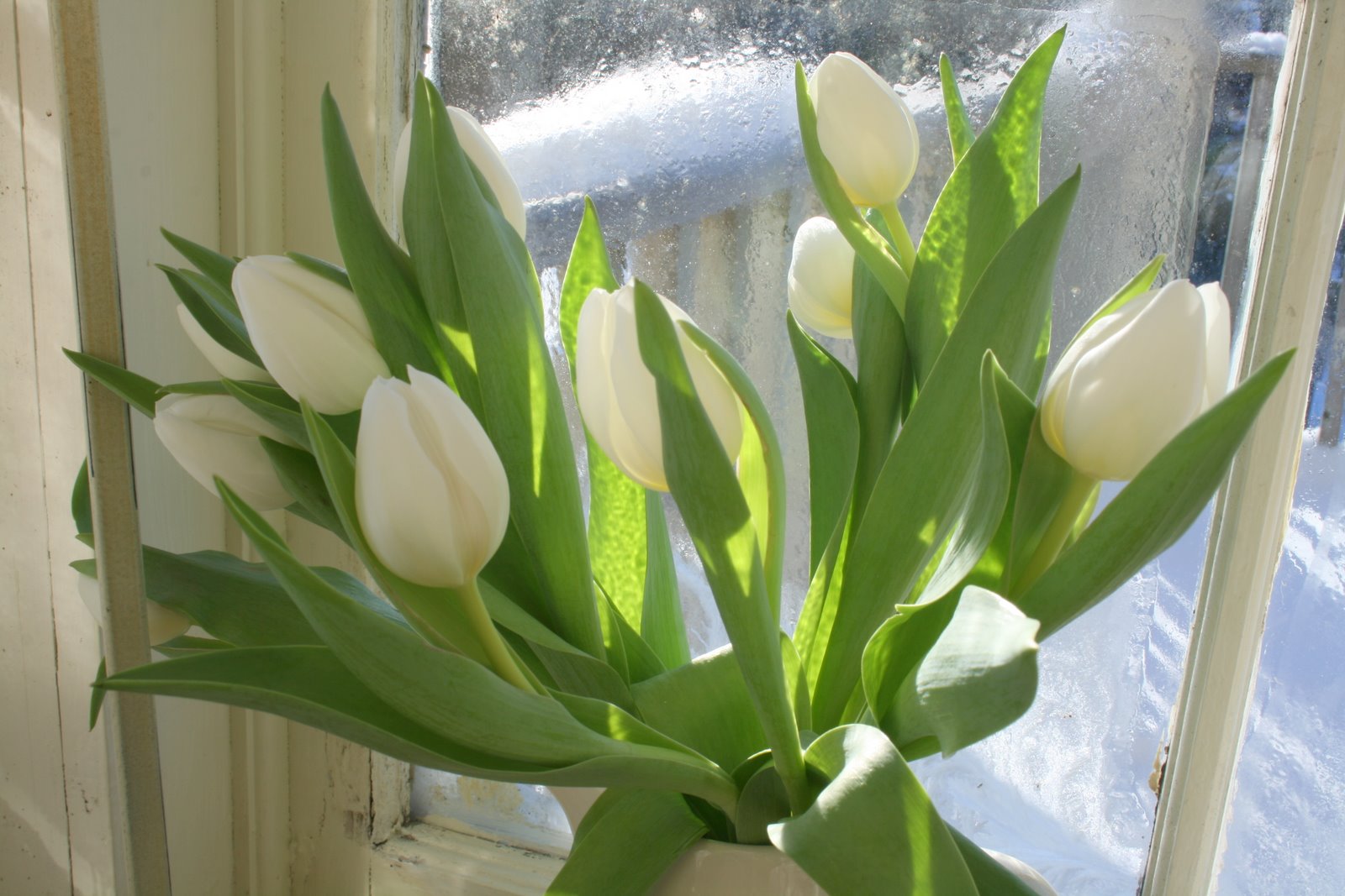 [IMG_8965-738828.jpg]