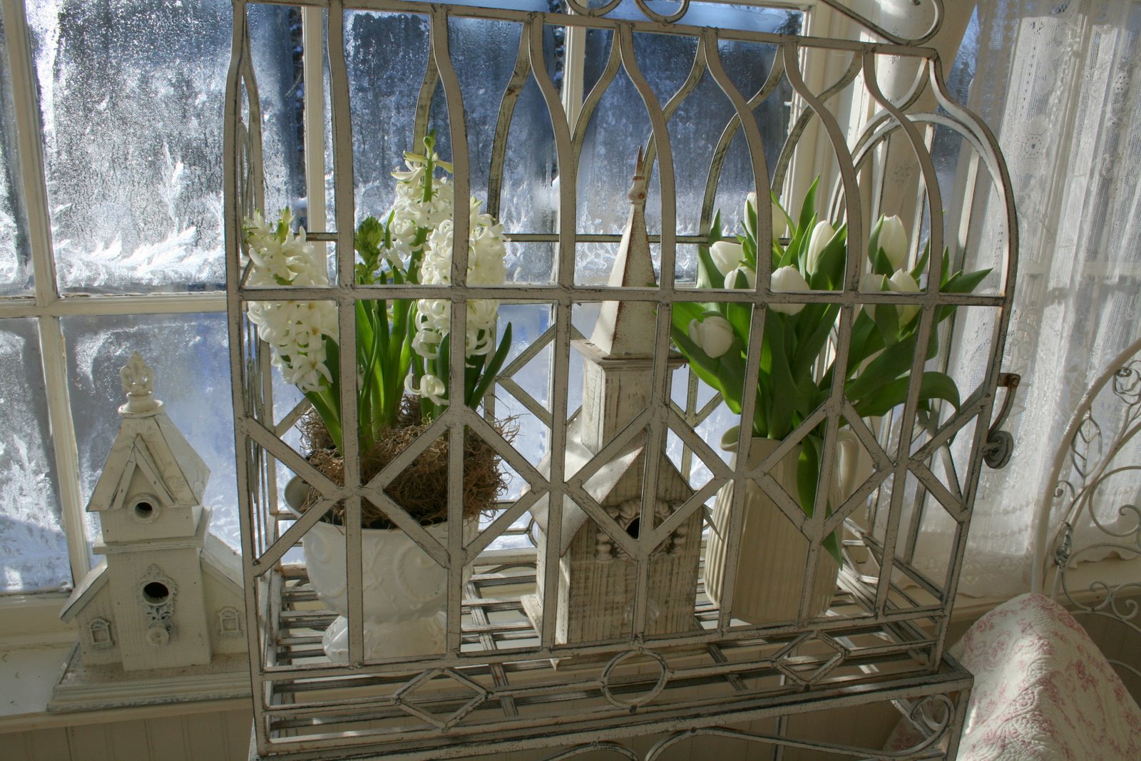 [IMG_8945-741728.jpg]