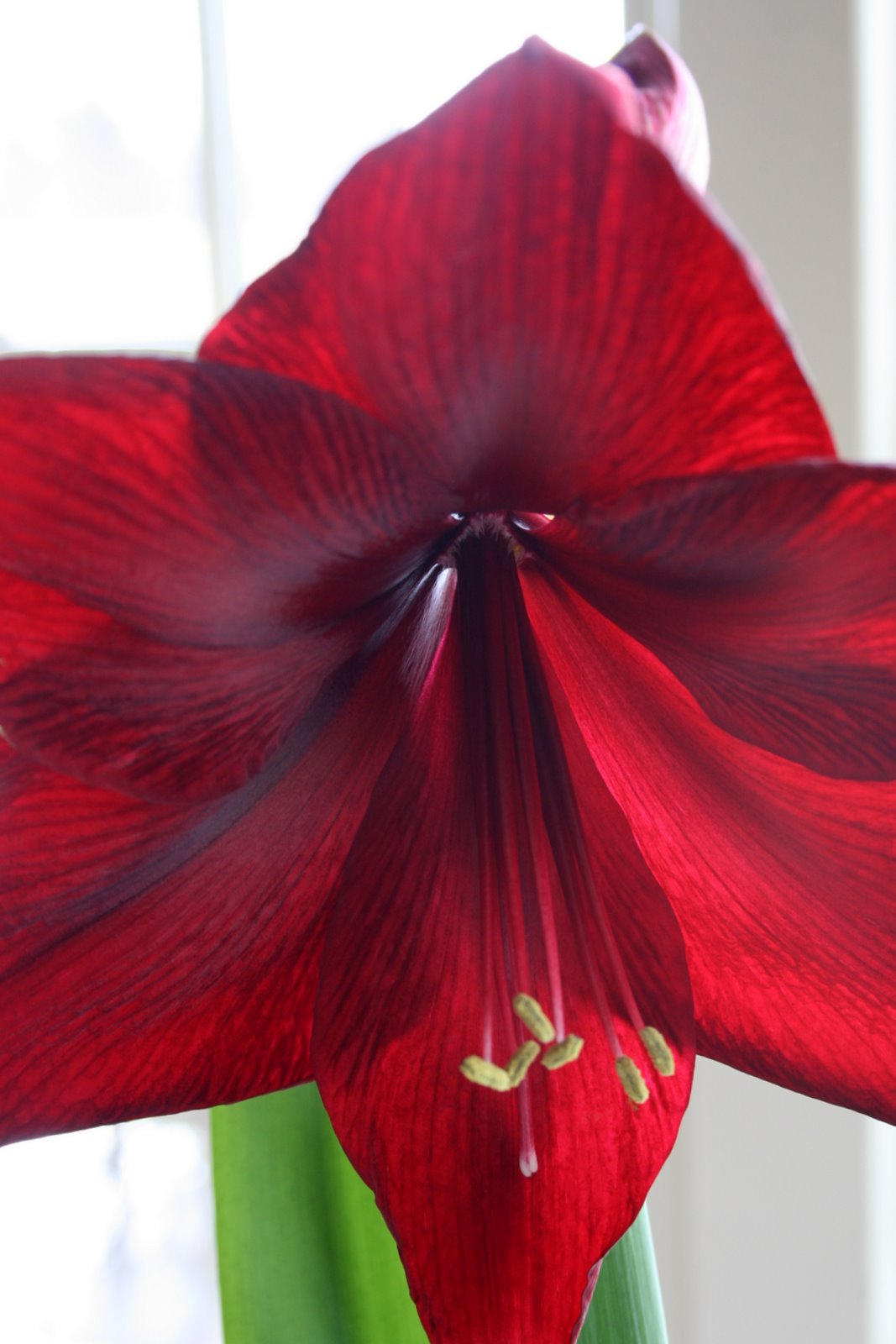 [IMG_1485-714895.JPG]