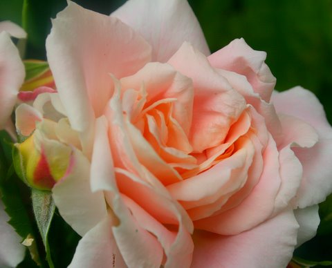 [IMG_8552-739864.jpg]