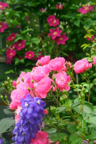 [IMG_8523-743042.jpg]