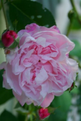 [IMG_5797-752580.JPG]