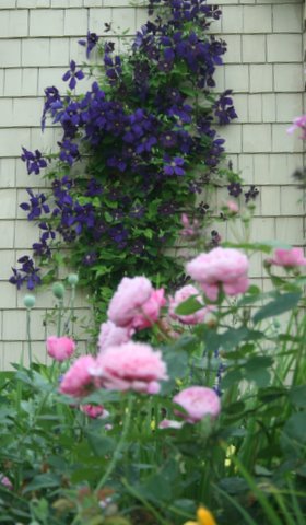 [IMG_9494-718577.JPG]