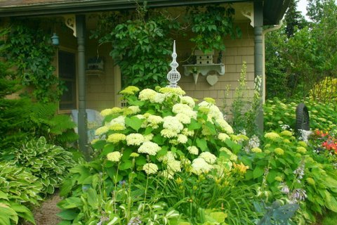 [IMG_8644-723495.jpg]