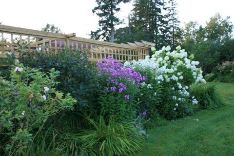 [IMG_5354-748965.JPG]